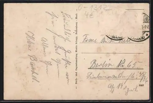 AK Falkenberg /Mark, Blick vom Kammweg auf Karlsburg und Kirche