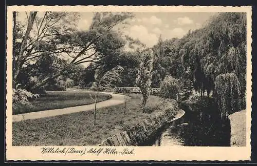 AK Wittstock /Dosse, im Park