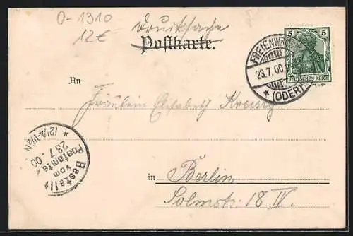 AK Bad Freienwalde, Brunnenhotel, Berghaus, Papenmühle