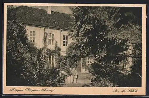AK Altruppin /Ruppiner Schweiz, das alte Schloss