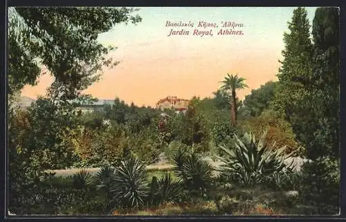 AK Athènes, Jardin Royal