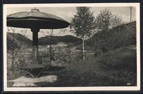 AK Brandýs n. Orl., Panorama mit Pilz