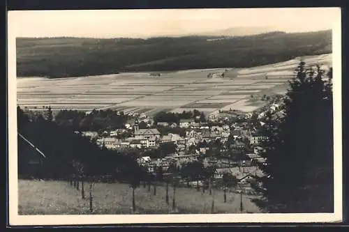 AK Böhmisch-Trübau, Panorama mit Bäumen