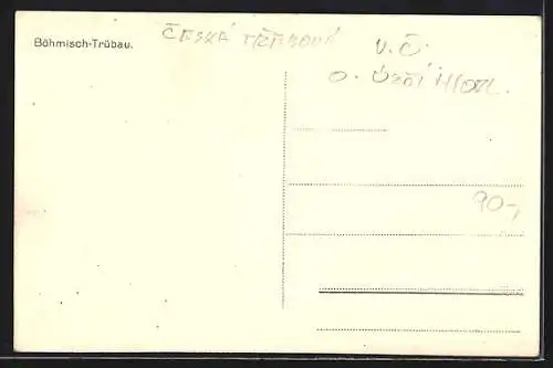 AK Böhmisch-Trübau, Panorama mit Bäumen