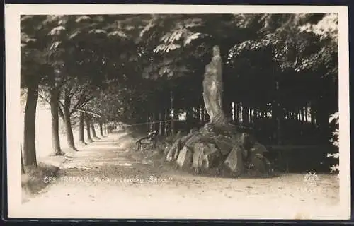 AK Ces. Trebová, Partie z Javorky Sarka