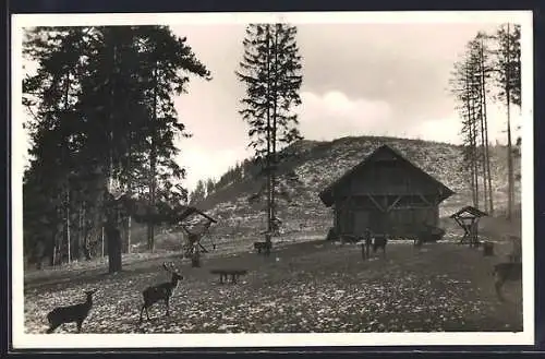 AK Kalkpodol, Vápenný Podol