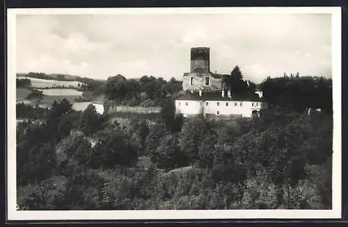 AK Svojanov, Hrad