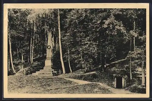 AK Lázne Brandýs n. Orl., Pomník Komenského