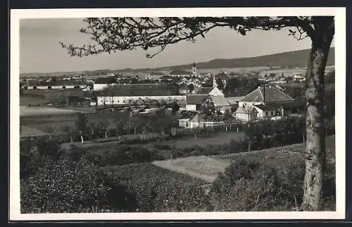 AK Ronov n. Doubr., Celkový pohled