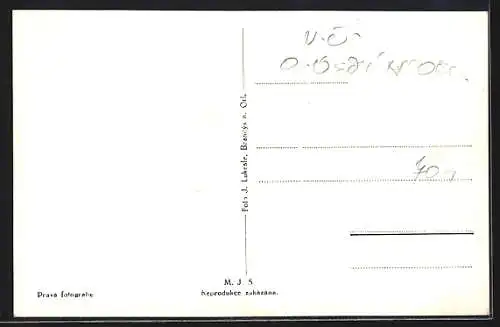 AK Brandýs n. Orl., Panorama mit Kirche