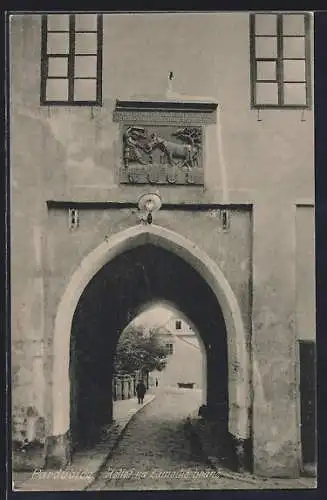 AK Pardubice, Relief na Zámecké bráne