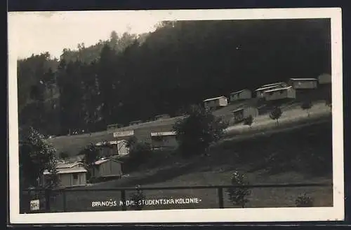 AK Brandýs n. Orl., Studentská Kolonie