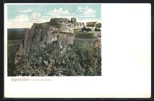 AK Blankenburg / Harz, Der Regenstein