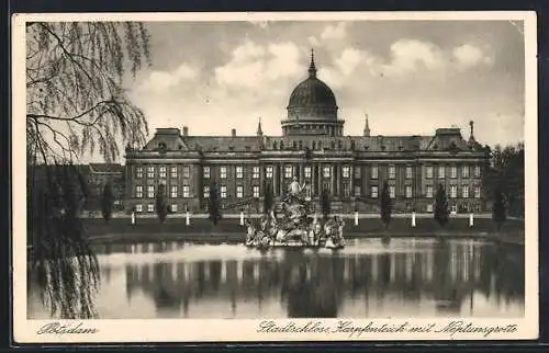 AK Potsdam, Stadtschloss, Karpfenteich mit Neptunsgrotte
