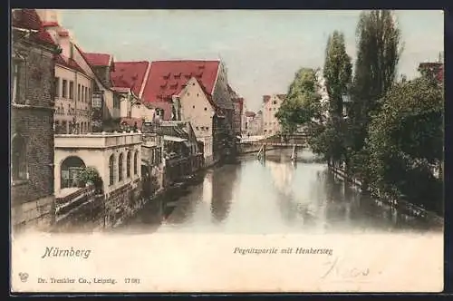 AK Nürnberg, Pegnitzpartie mit Henkersteg