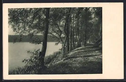 AK Strausberg, Promenadenweg am Strausee