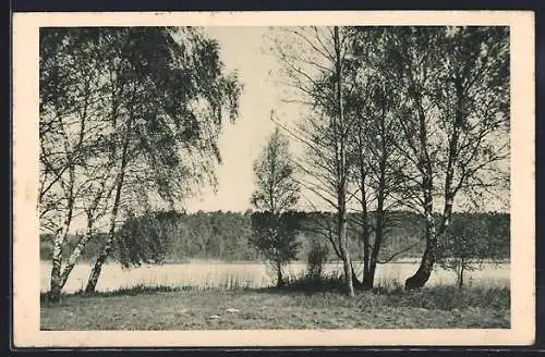 AK Chorin, Plagefenn, Plagesee vom Ostufer gesehen