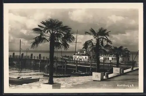 AK Meersburg, Palmen am Hafen mit Dampfer Baden auf dem Bodensee
