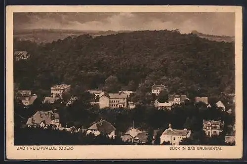 AK Bad Freienwalde, Blick in das Brunnental