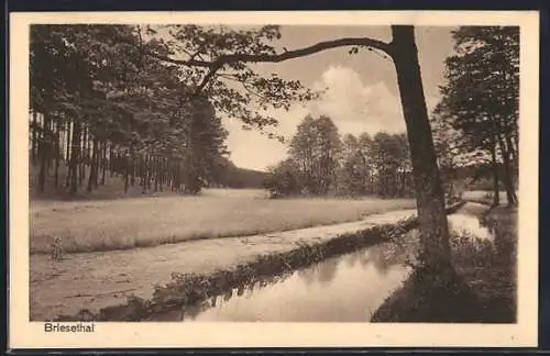 AK Briesethal /Birkenwerder, Flusspartie mit Landschafts-Panorama