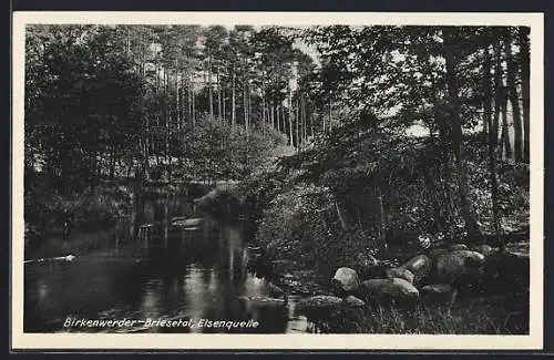 AK Birkenwerder-Briesethal, An der Elsenquelle