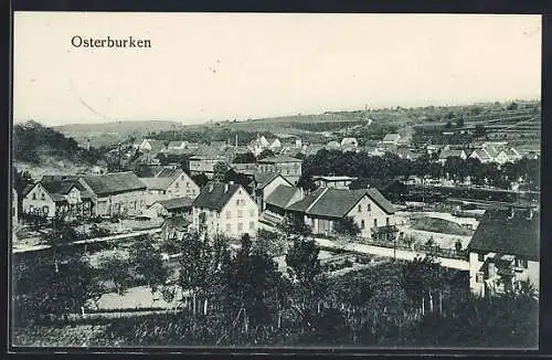 AK Osterburken, Teilansicht mit Strassenpartie