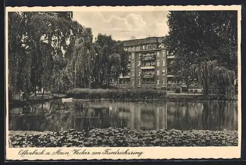 AK Offenbach a. Main, Weiher am Friedrichsring