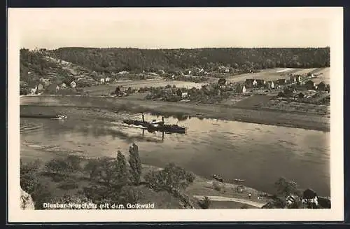 AK Diesbar-Nieschütz, Panorama mit dem Golkwald und Dampfer