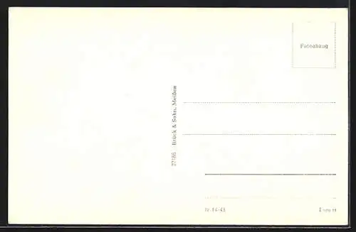 AK Diesbar-Nieschütz, Panorama mit dem Golkwald und Dampfer