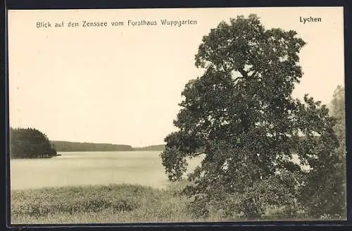 AK Lychen, Blick auf den Zenssee vom Forsthaus Wuppgarten