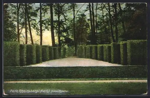 AK Rheinsberg /Mark, Natur-Theater