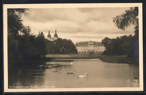 AK Donaueschingen, Fürstliches Schloss