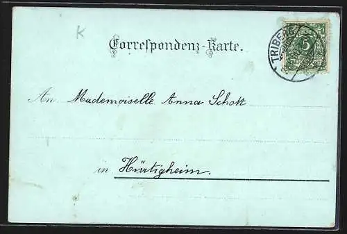 Mondschein-Lithographie Triberg, Marktplatz aus der Vogelschau