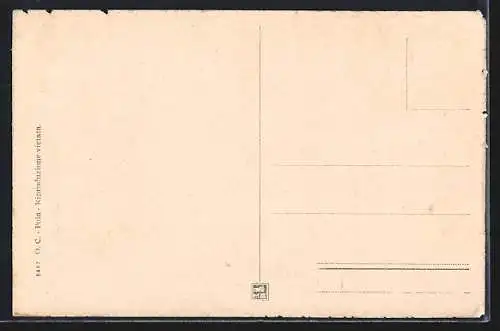 AK Pola, Dettaglio Arena