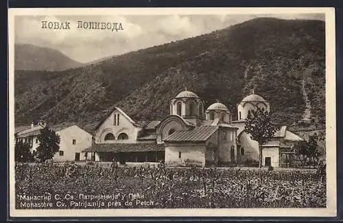 AK Monastère, Cv. Patrijamija près de Petch
