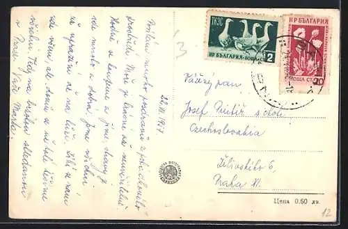 AK Nessebre, Panorama