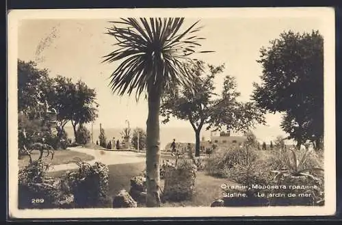 AK Staline, Le jardin de mer
