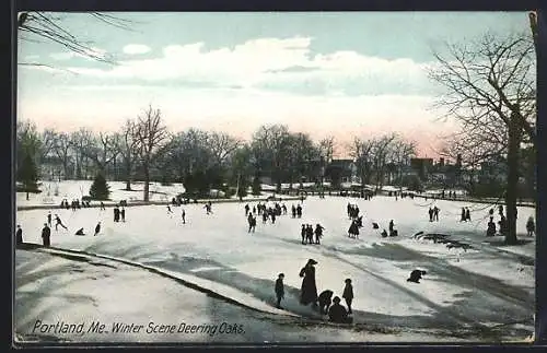 AK Portland, ME, Winter Scene Deering Oaks