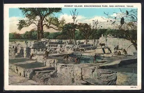 AK San Antonio, TX, Monkey Island, Brackenridge Park