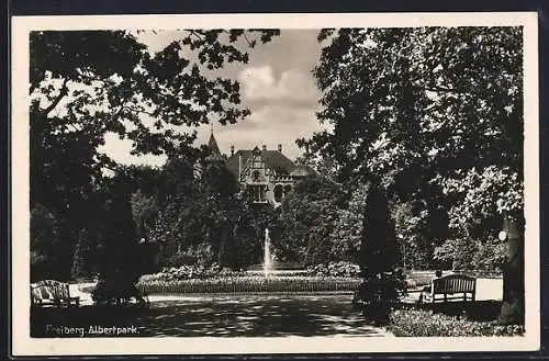 AK Freiberg / Sachsen, Partie im Albertpark