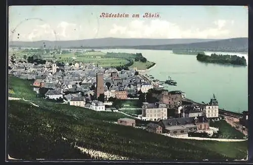 AK Rüdesheim am Rhein, Teilansicht mit Ruine