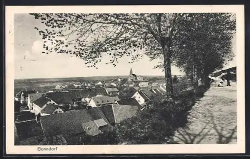 AK Bonndorf / Schwarzwald, Teilansicht mit Promenade