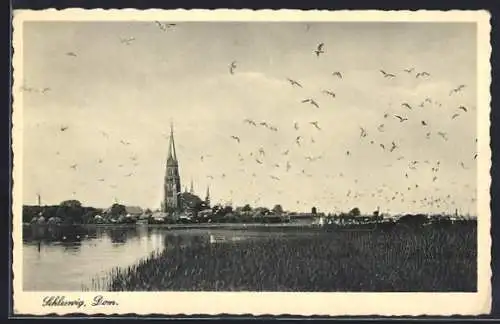 AK Schleswig, Uferpartie mit Dom