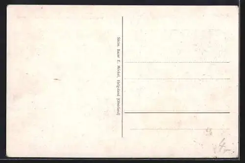 Künstler-AK Helgoland, Totalansicht