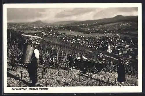 AK Arhweiler, Bei der Weinlese