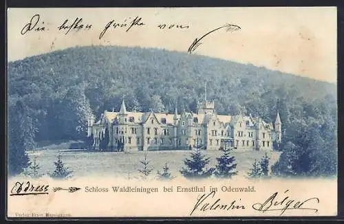 AK Waldleiningen / Odenwald, bei Ernstthal, Schloss Waldleiningen