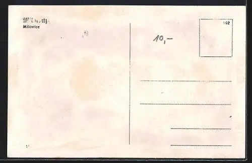 AK Milowitz, Strassenpartie, Ortsansichten, Mauer-Anlage