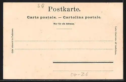 AK Zug, Lac de Zoug, Panorama