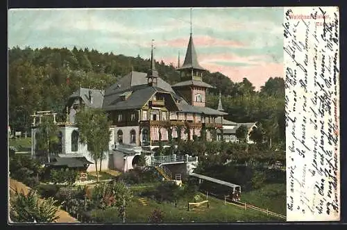 AK Zürich, Partie am Waldhaus Dolder