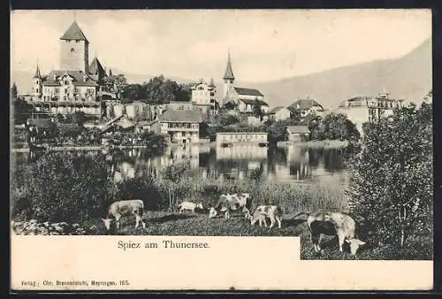 AK Spiez am Thunersee, Gesamtansicht